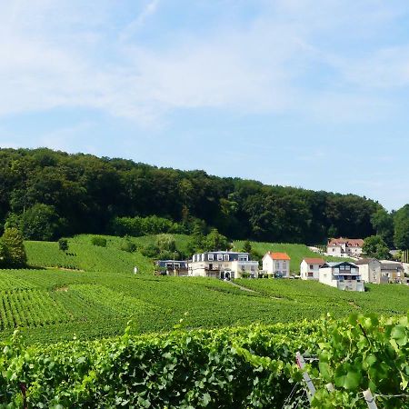B&B En Champagne Cramant المظهر الخارجي الصورة