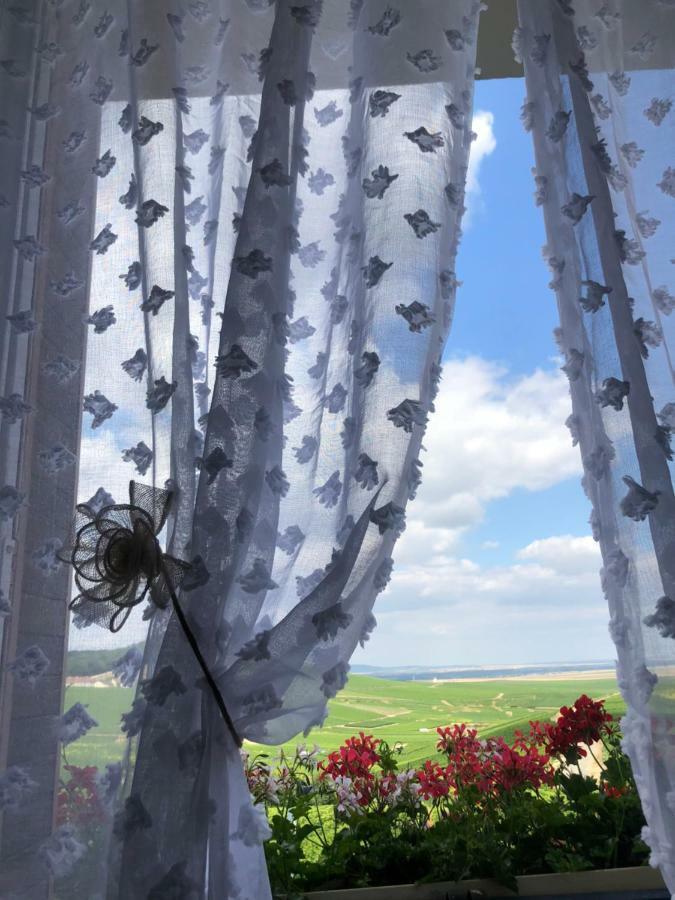 B&B En Champagne Cramant المظهر الخارجي الصورة